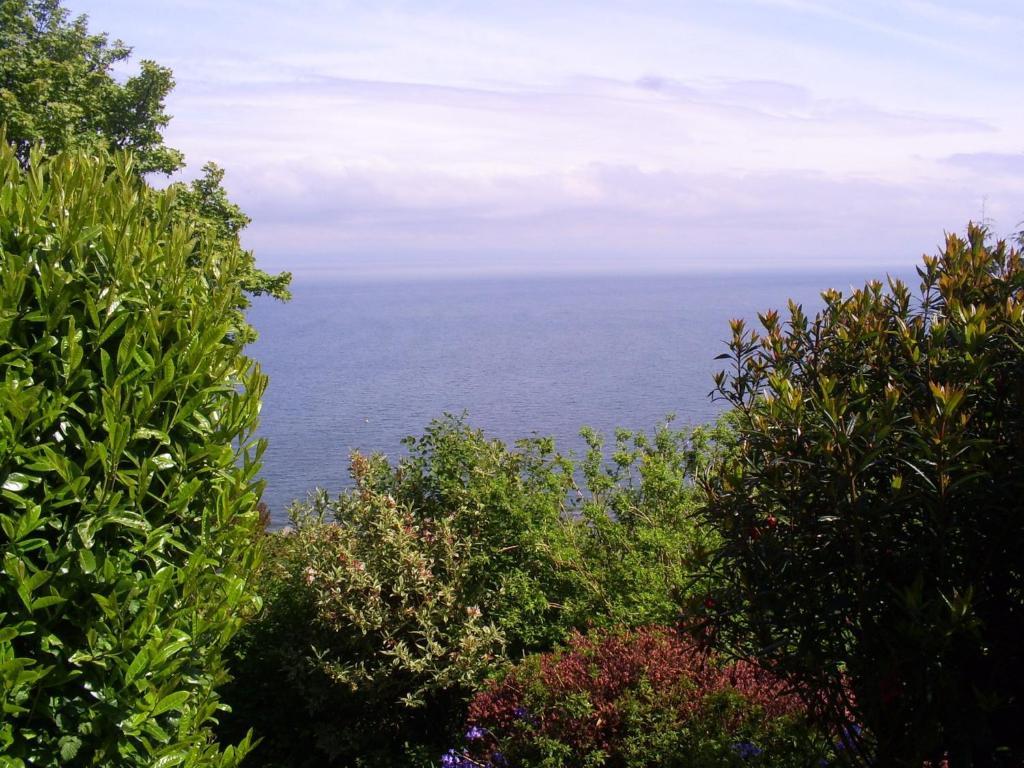 Lynton Cottage Seaview Apartments Rum bild